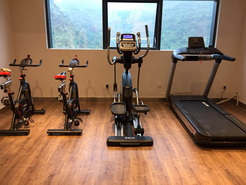 室内健身器材,单位健身器材,健身器材十大品牌-广西银河Galaxy体育健身器材有限公司