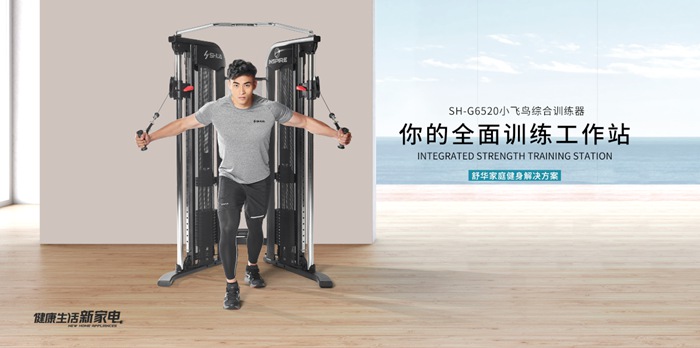 银河Galaxy健身器材-小飞鸟综合训练器SH-G6520